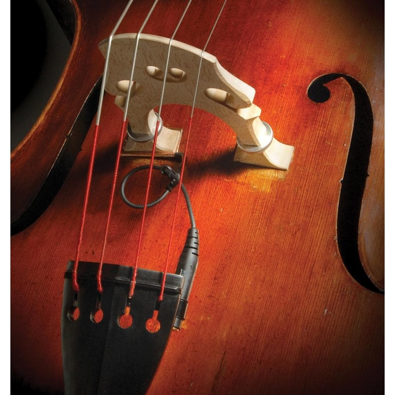 The Realist Woodtone Double Bass Transducer