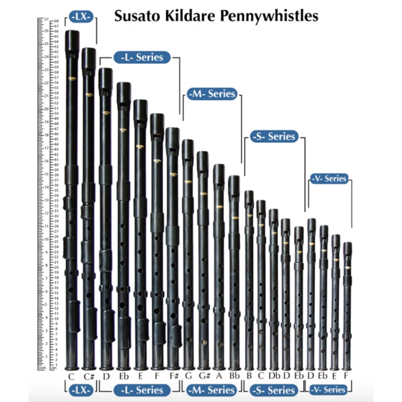 Kildare 2 Piece Penny Whistle in Low G by Susato – M-Series